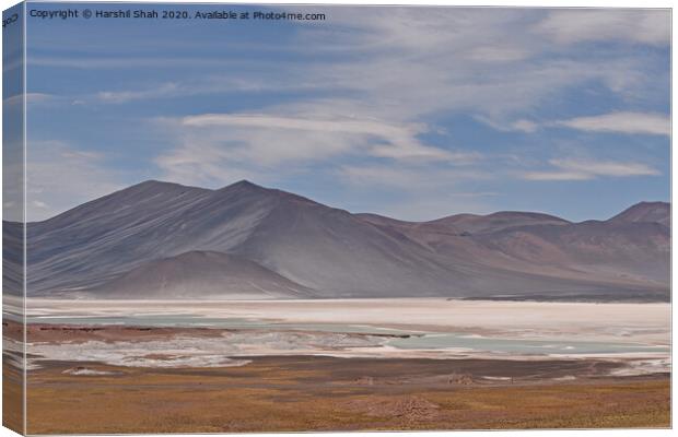 Atacama Desert in the Altiplano of Northern Chile Canvas Print by Harshil Shah
