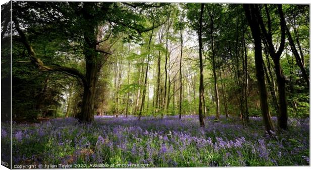 Bluebells in the Wood Canvas Print by Jules Taylor