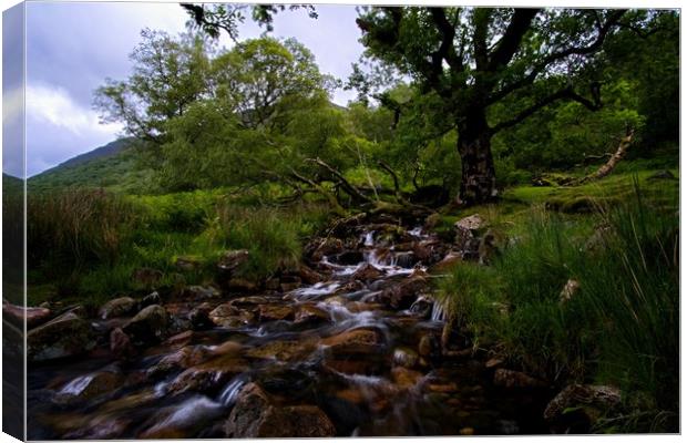 Lake District stream running into Buttermere Canvas Print by Jules Taylor