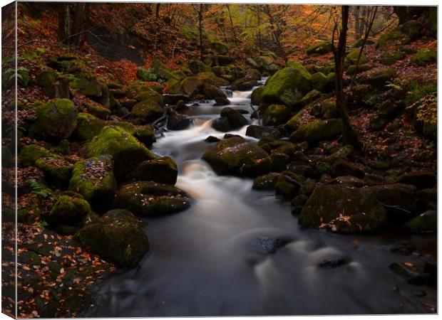 Fallen leaves in Padley Gorge Canvas Print by Jules Taylor