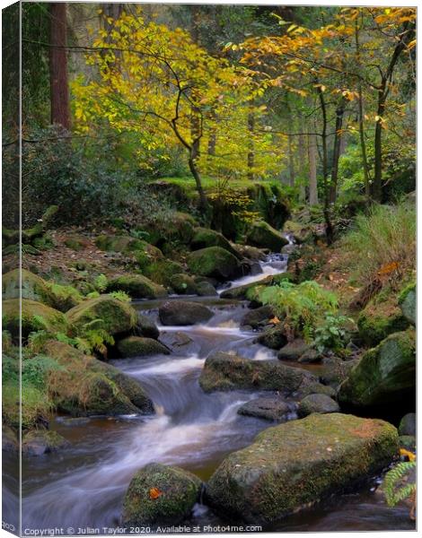 Wyming Brook  Canvas Print by Jules Taylor
