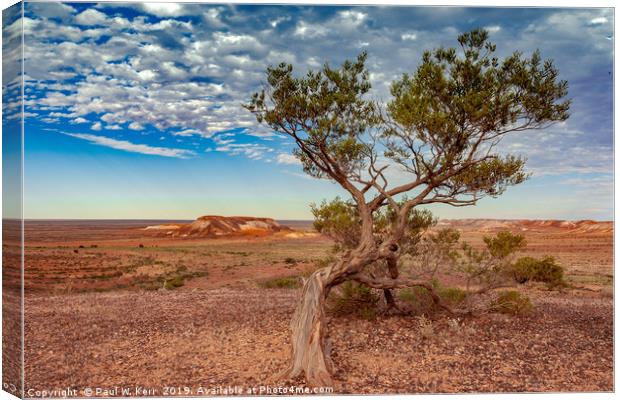 Kanku Breakaways Conservation Park Canvas Print by Paul W. Kerr