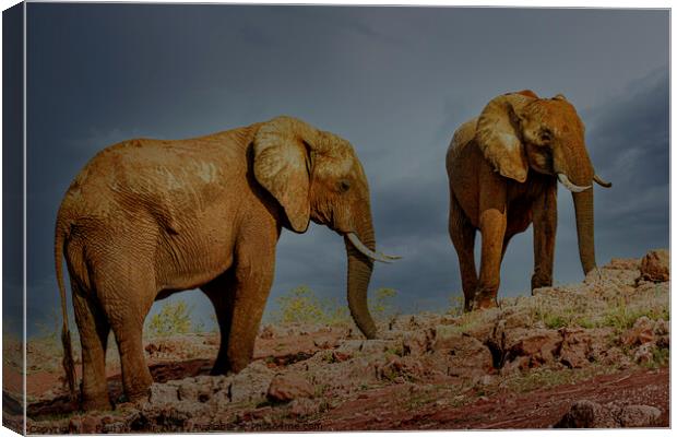 Elephants on the shores of Lake Kariba, Zimbabwe Canvas Print by Paul W. Kerr