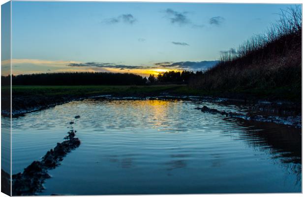 The reflective countryside sunset Canvas Print by David Wilson