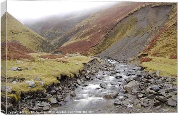 Grey Mare's Tail Canvas Print by Iain McGillivray