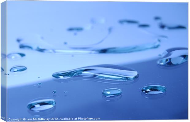 Water Droplets Canvas Print by Iain McGillivray