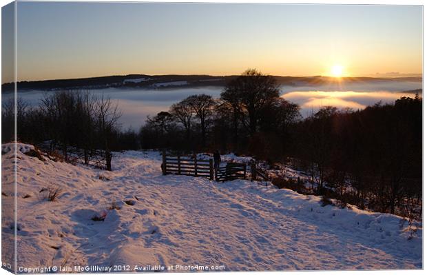 Sunset at Campsie Glen Canvas Print by Iain McGillivray