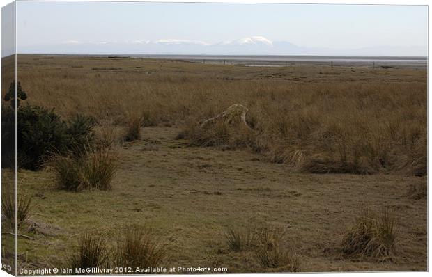 Solway Salt Marshes Canvas Print by Iain McGillivray