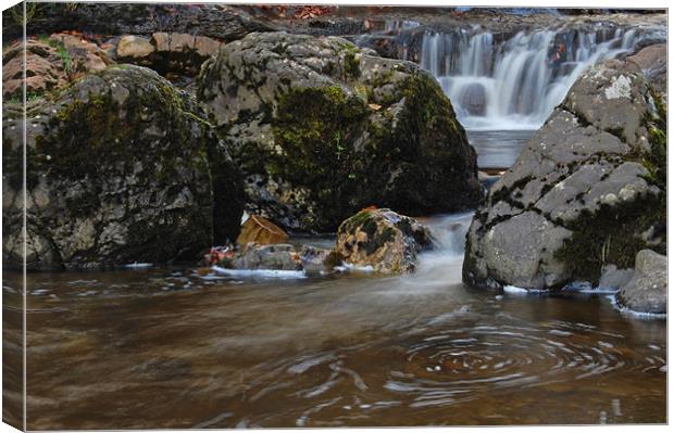 Campsie Waterfall 12 Canvas Print by Iain McGillivray