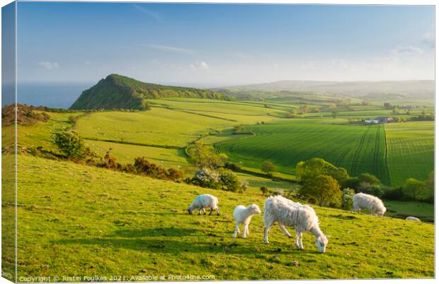 View from Peak Hill, near Sidmouth, East Devon Canvas Print by Justin Foulkes