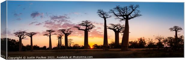 Avenue of the Baobabs at sunset, Madagascar  Canvas Print by Justin Foulkes