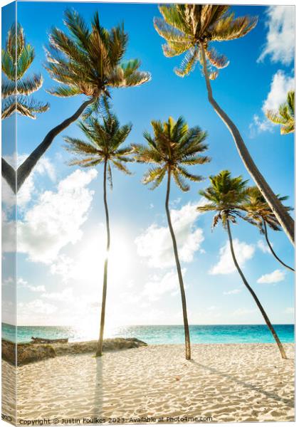 Palm trees on the beach at Bottom Bay, Barbados, Caribbean Canvas Print by Justin Foulkes