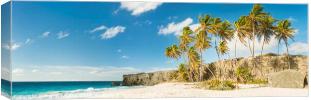 Palm trees at Bottom Bay, Barbados, Caribbean Canvas Print by Justin Foulkes