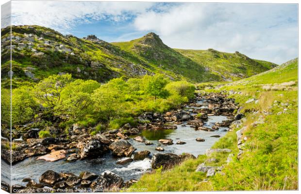 Tavy Cleave, Dartmoor, Devon Canvas Print by Justin Foulkes