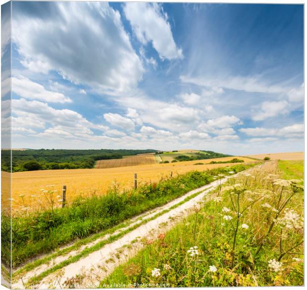 The South Downs Way near Bignor Hill  Canvas Print by Justin Foulkes