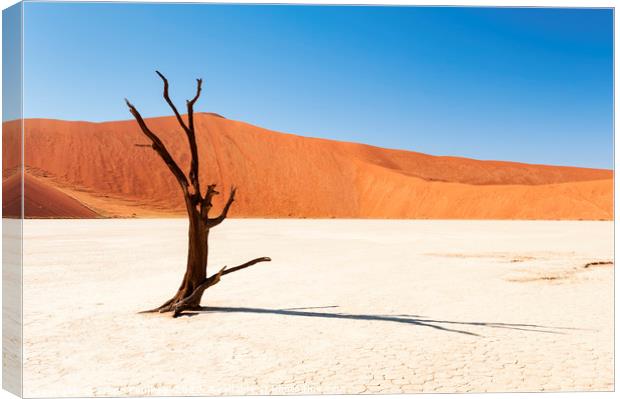 Lone Tree, Dead Vlei, Namibia Canvas Print by Justin Foulkes
