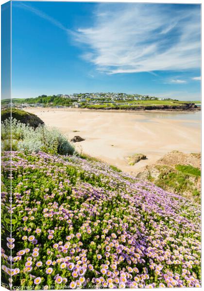 Wildflowers above Polzeath beach, Cornwall Canvas Print by Justin Foulkes