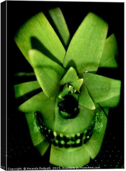 Variegated Yucca Leafy skull Canvas Print by Amanda Redpath