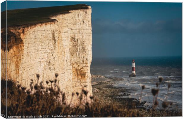 beachy head Canvas Print by mark Smith