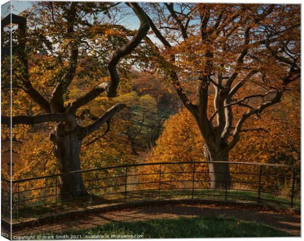 autumnal trees, greenwich park Canvas Print by mark Smith