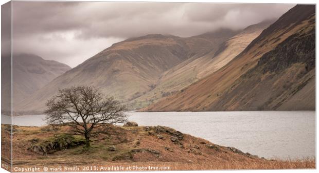 Lone Tree Wast Water Canvas Print by mark Smith