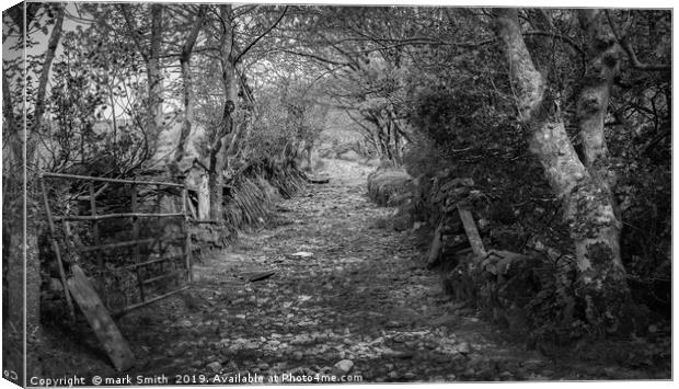 Farmland footpath in County Kerry Canvas Print by mark Smith