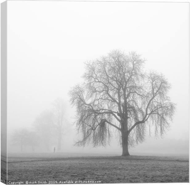 Trees In The Mist Canvas Print by mark Smith