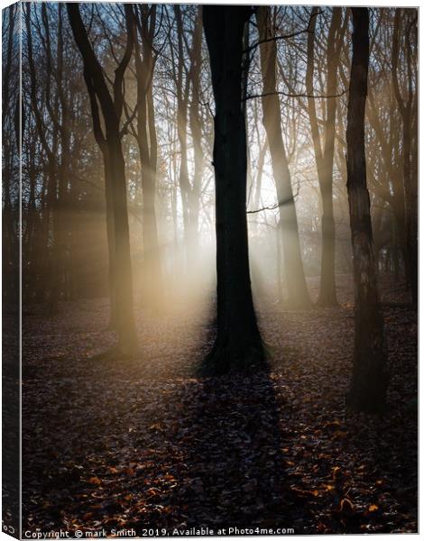 Apparition Canvas Print by mark Smith