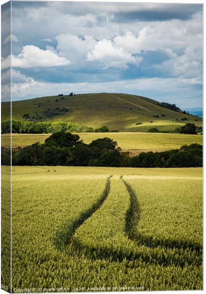 South Downs Canvas Print by mark Smith