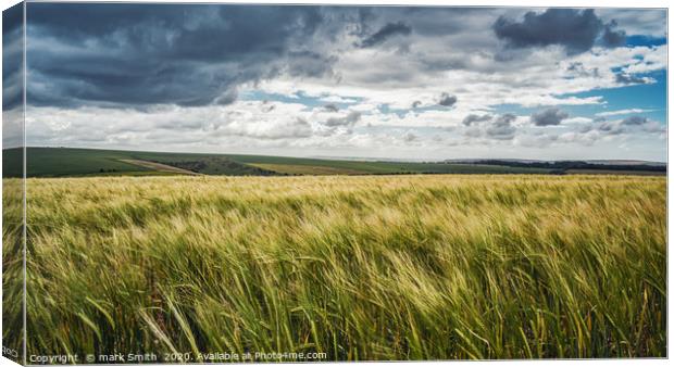 Fields of gold Canvas Print by mark Smith