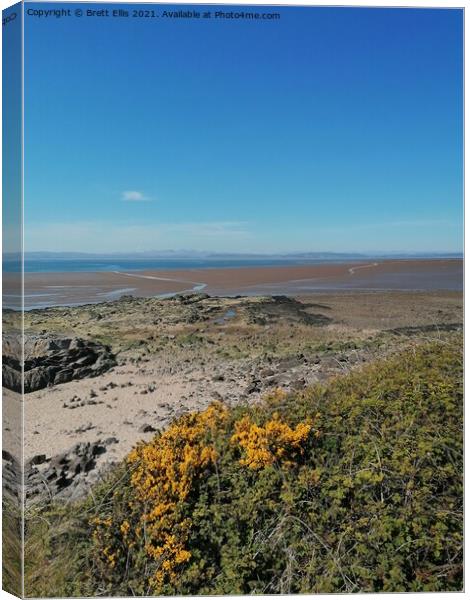 Heysham Cliffs Canvas Print by Brett Ellis