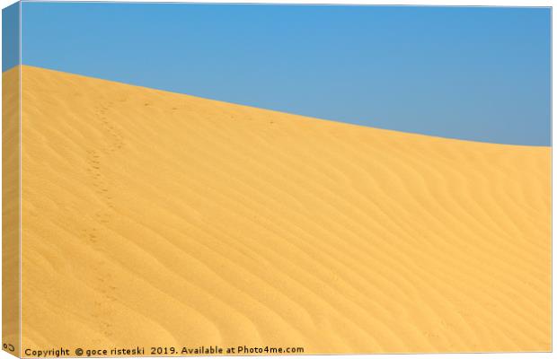 sand dune with small animals tracks Canvas Print by goce risteski