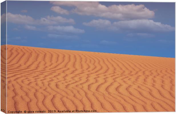 sand desert landscape nature scene Canvas Print by goce risteski