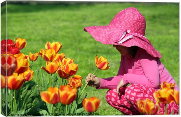 little girl smell tulip flower spring scene Canvas Print by goce risteski