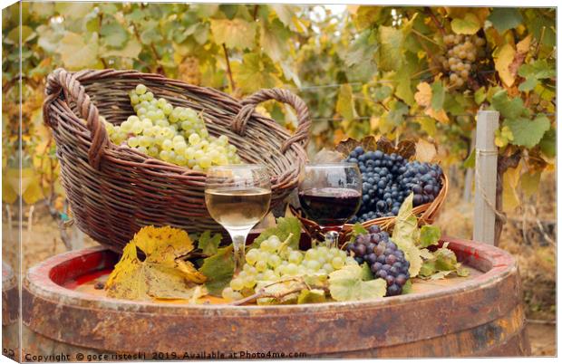 red and white wine autumn season Canvas Print by goce risteski