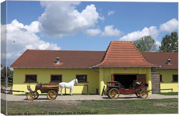 Lipizzaner horse and carriage on farm Canvas Print by goce risteski