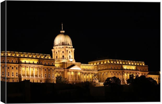 Budapest royal castle by night Canvas Print by goce risteski