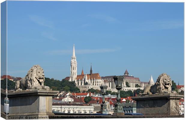 chain bridge lion statue and Fisherman bastion Bud Canvas Print by goce risteski