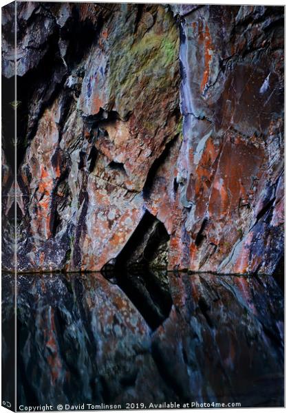 Cave wall reflections - Portrait Canvas Print by David Tomlinson