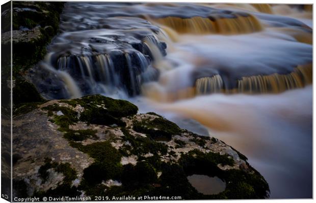 Aysgarth lower falls - Yorkshire Dales  Canvas Print by David Tomlinson