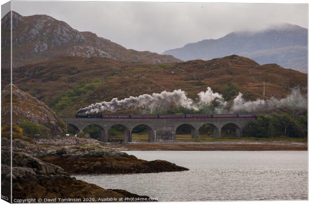 Scottish Steam  Canvas Print by David Tomlinson