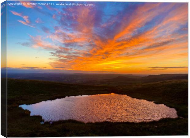 Majestic Sunset over Mermaid Pool Canvas Print by tammy mellor
