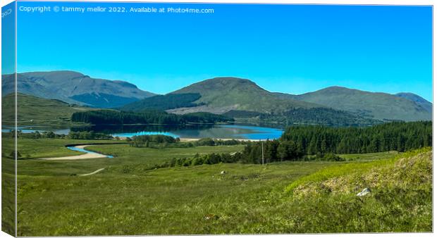 Majestic Scottish Landscape Canvas Print by tammy mellor