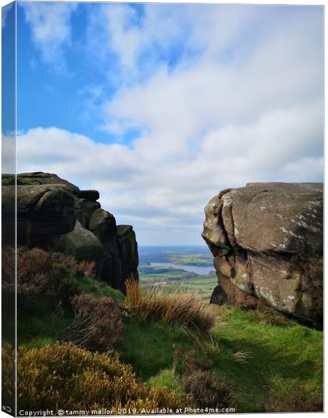 Majestic view from rocky climb Canvas Print by tammy mellor