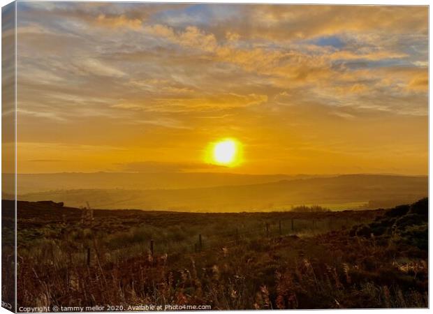 Majestic Sunrise over Staffordshire Moorlands Canvas Print by tammy mellor