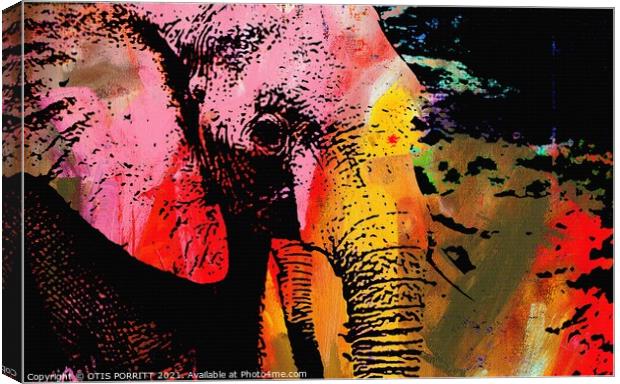 THE LAST ELEPHANT Canvas Print by OTIS PORRITT