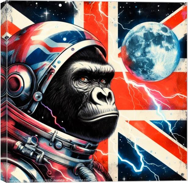 SPACE GORILLA 17 Canvas Print by OTIS PORRITT