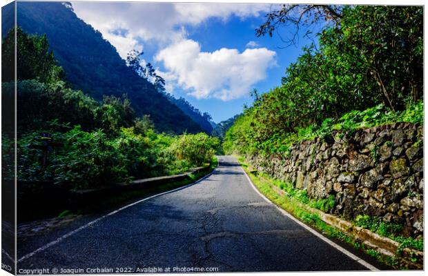 Beautiful road between tropical mountains of a leafy and paradis Canvas Print by Joaquin Corbalan