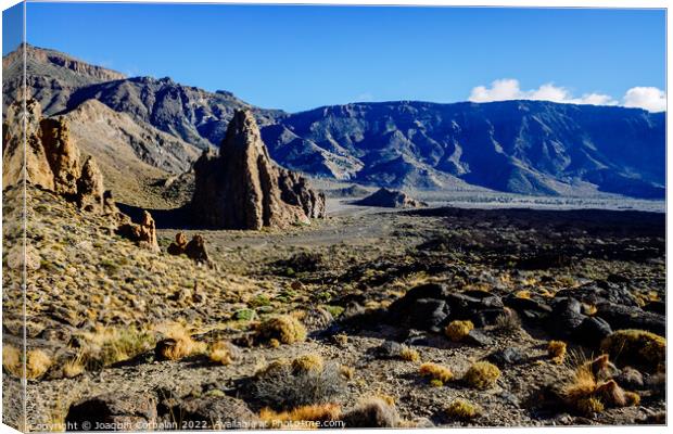 Panoramic landscape in Roques de Garcia, Tenerife, spectacular v Canvas Print by Joaquin Corbalan