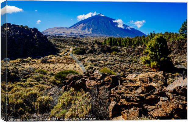 Beautiful panoramic image of the Teide volcano, a sunny day with Canvas Print by Joaquin Corbalan